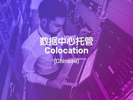 Colocation in Chinese Text