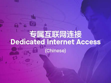 Dedicated Internet Access_Chinese