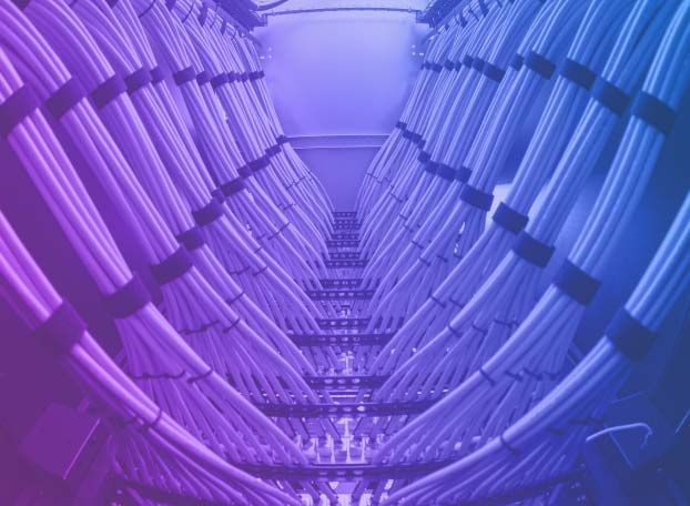 Data center network cables representing APAC Wavelength use cases for high-capacity connectivity
